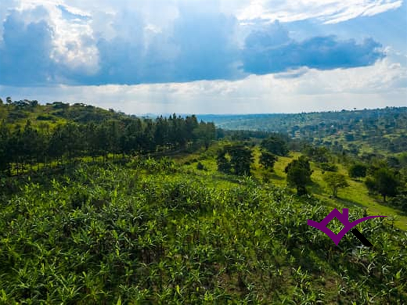 Farm for sale in Kassanda Mityana