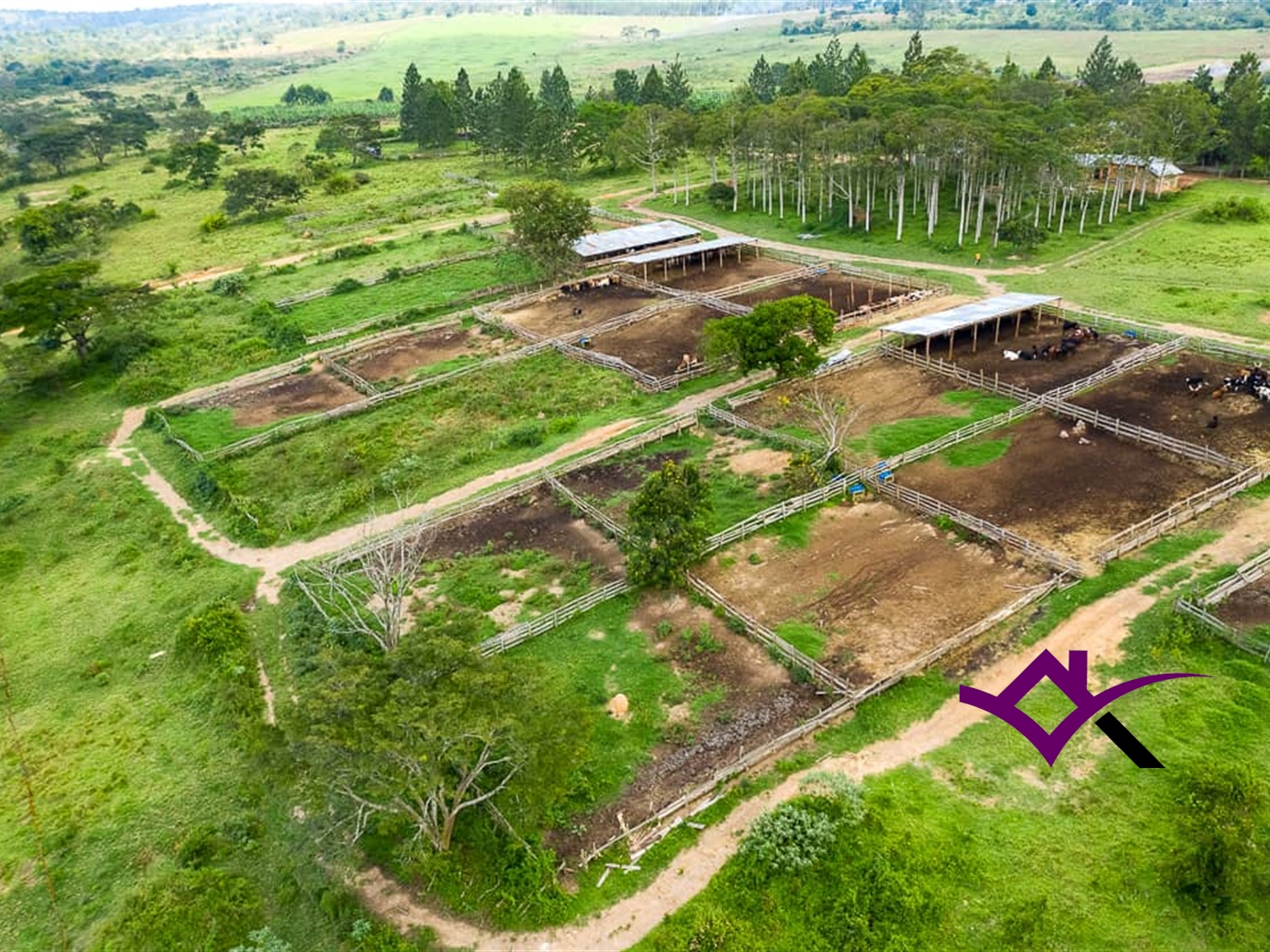 Farm for sale in Kassanda Mityana