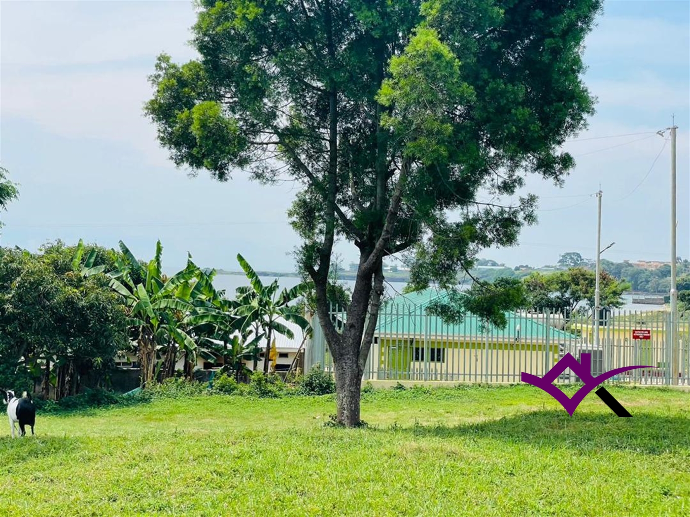 Joint investment land for sale in Bugonga Wakiso