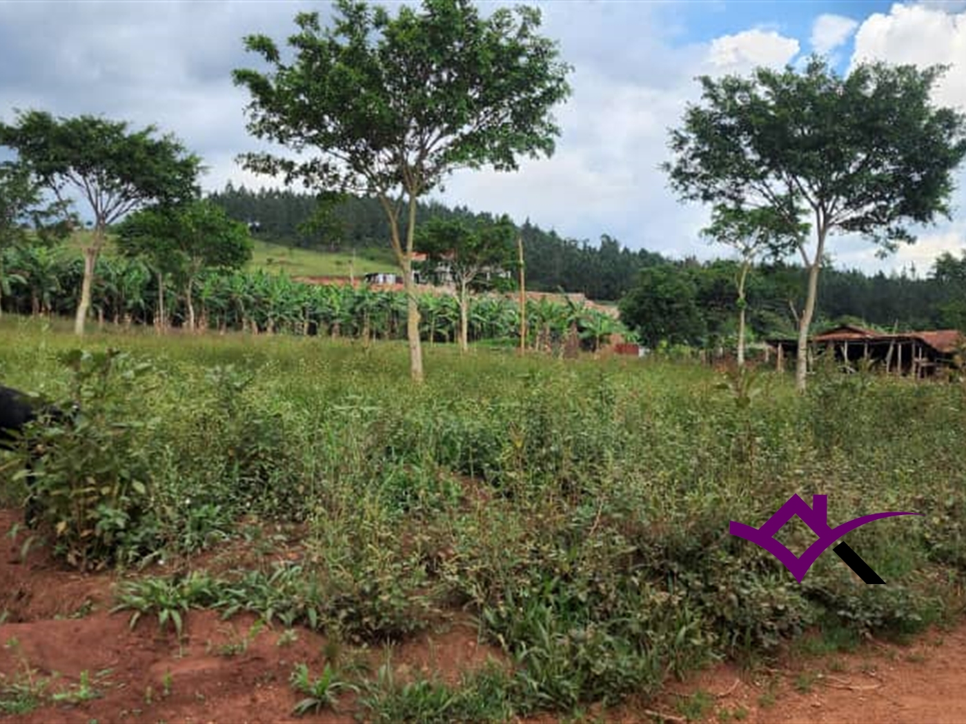 Joint investment land for sale in Nabutiiti Wakiso