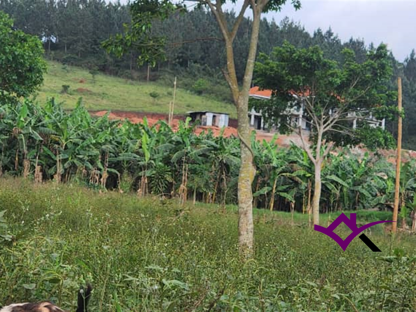 Joint investment land for sale in Nabutiiti Wakiso