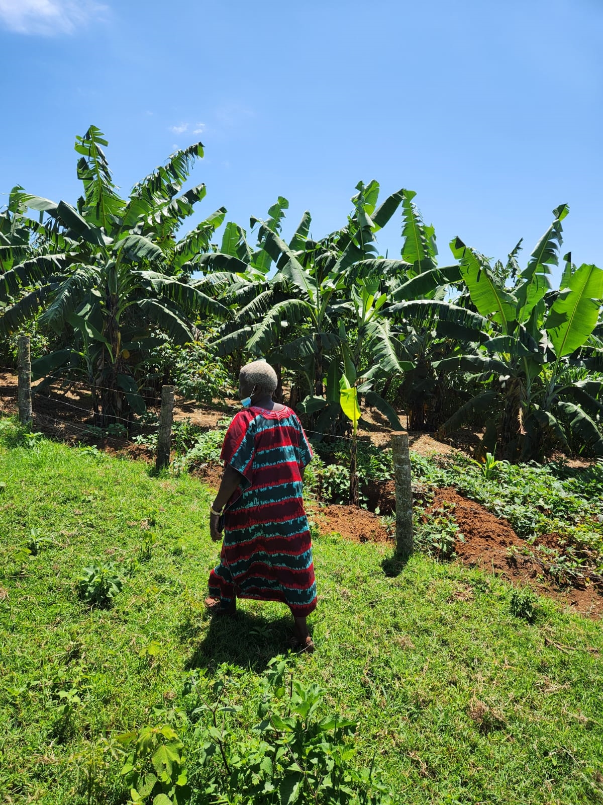 Residential Land for sale in Garuga Wakiso