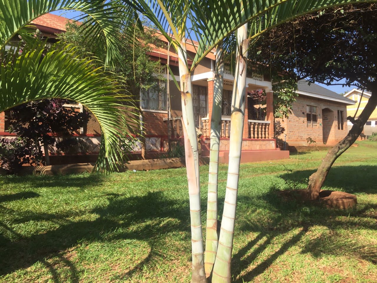 Bungalow for sale in Makindye Kampala