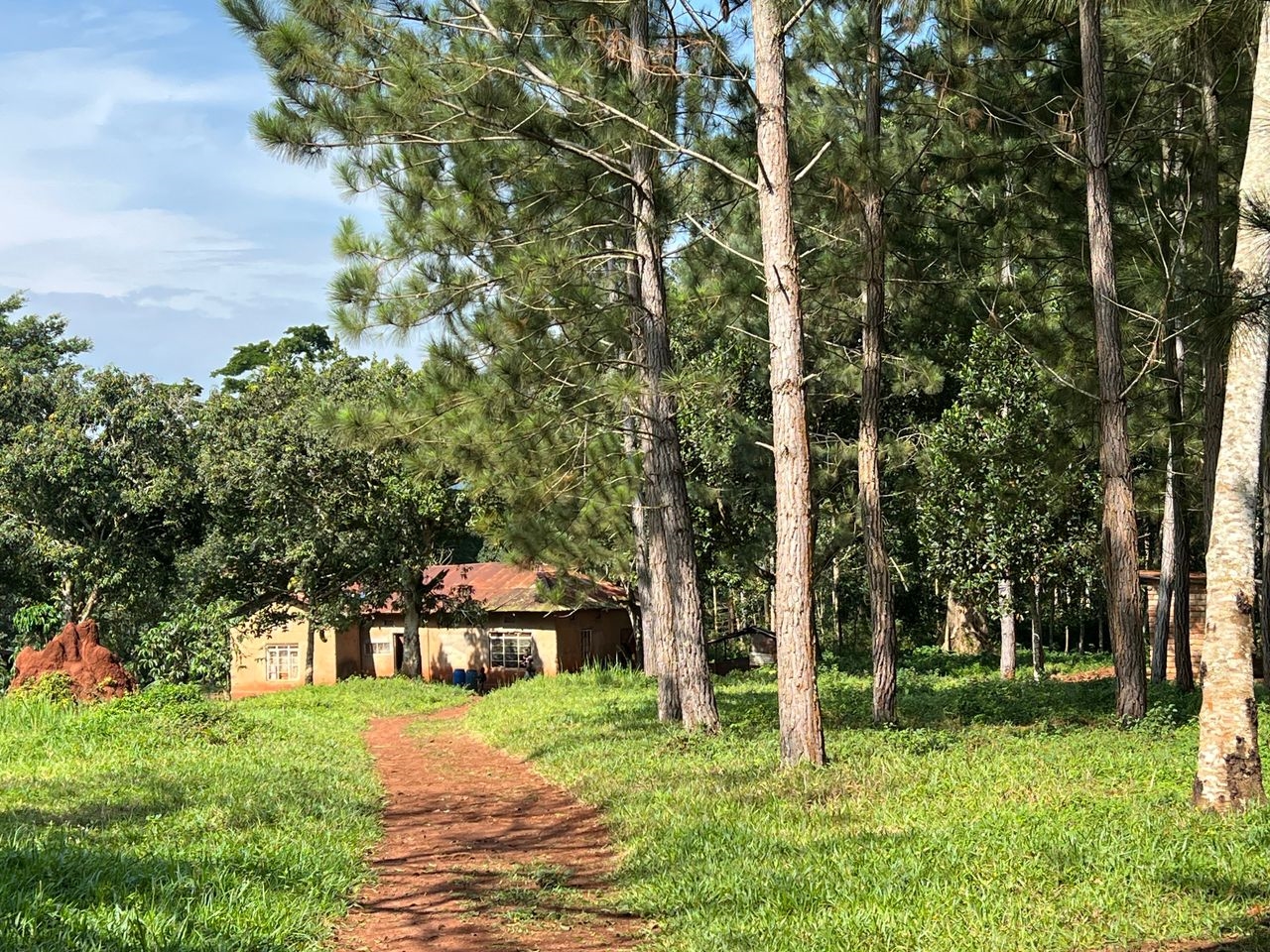 Joint investment land for sale in Nakisunga Mukono