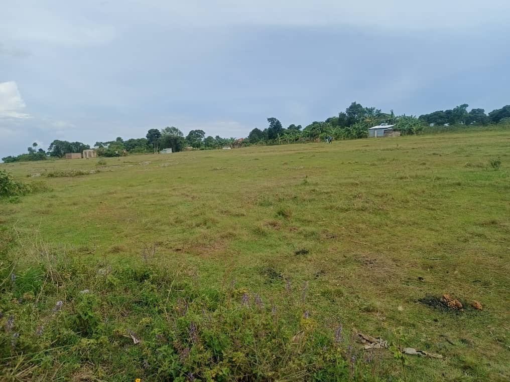 Recreational Land for sale in Nkokonjeru Buyikwe