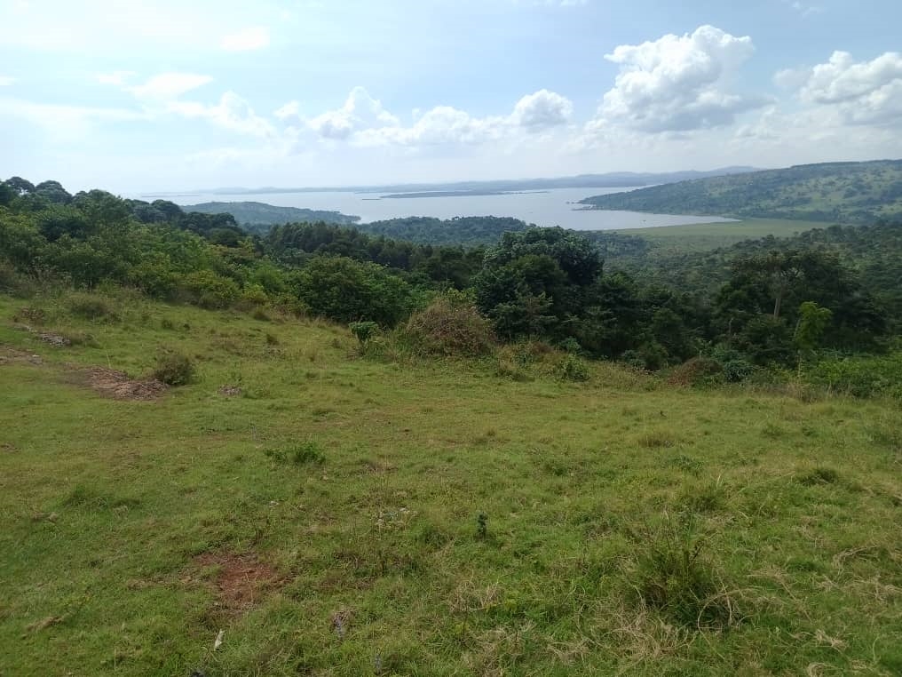 Recreational Land for sale in Nkokonjeru Buyikwe