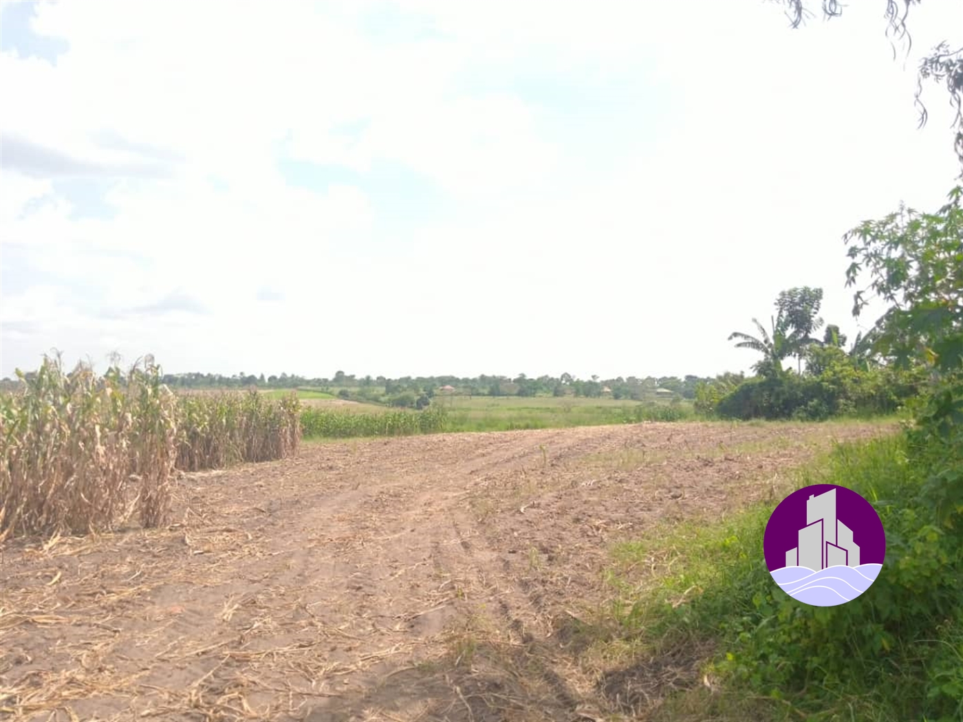 Agricultural Land for sale in Luweero Luweero