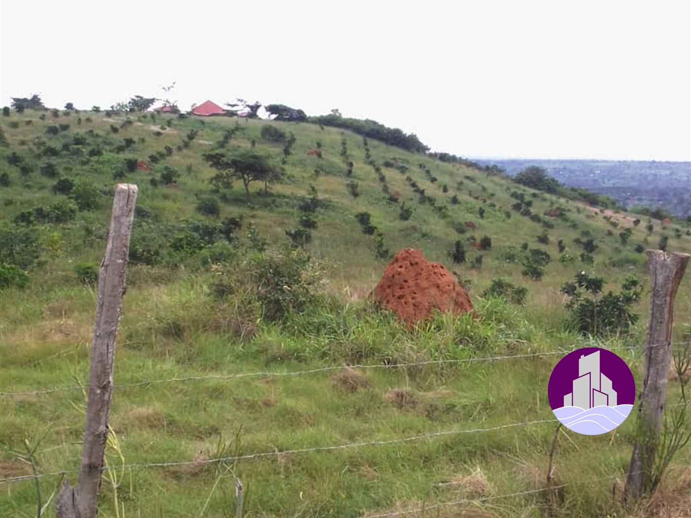 Agricultural Land for sale in Lukaya Kalungu