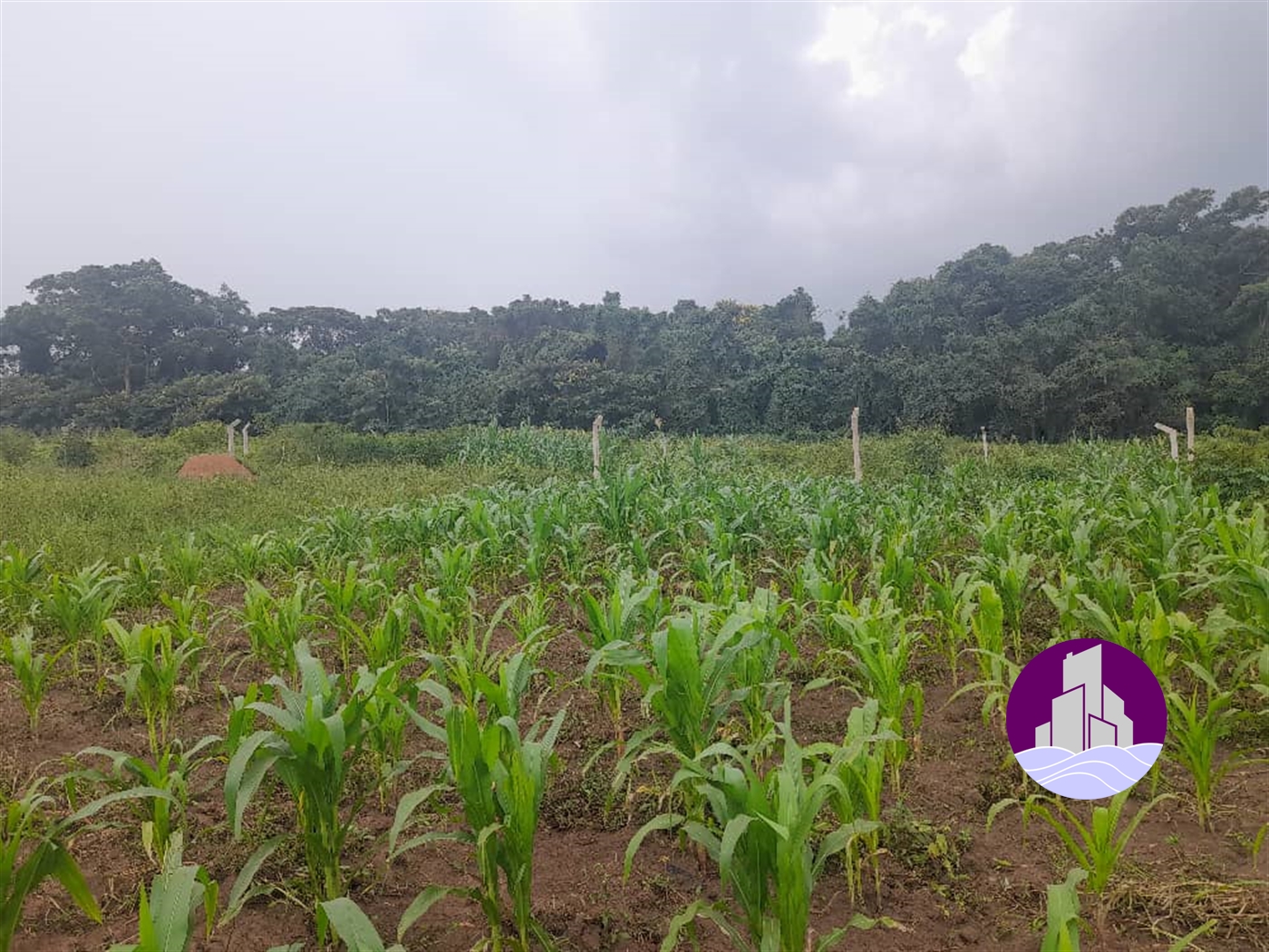 Residential Land for sale in Gayaza Wakiso