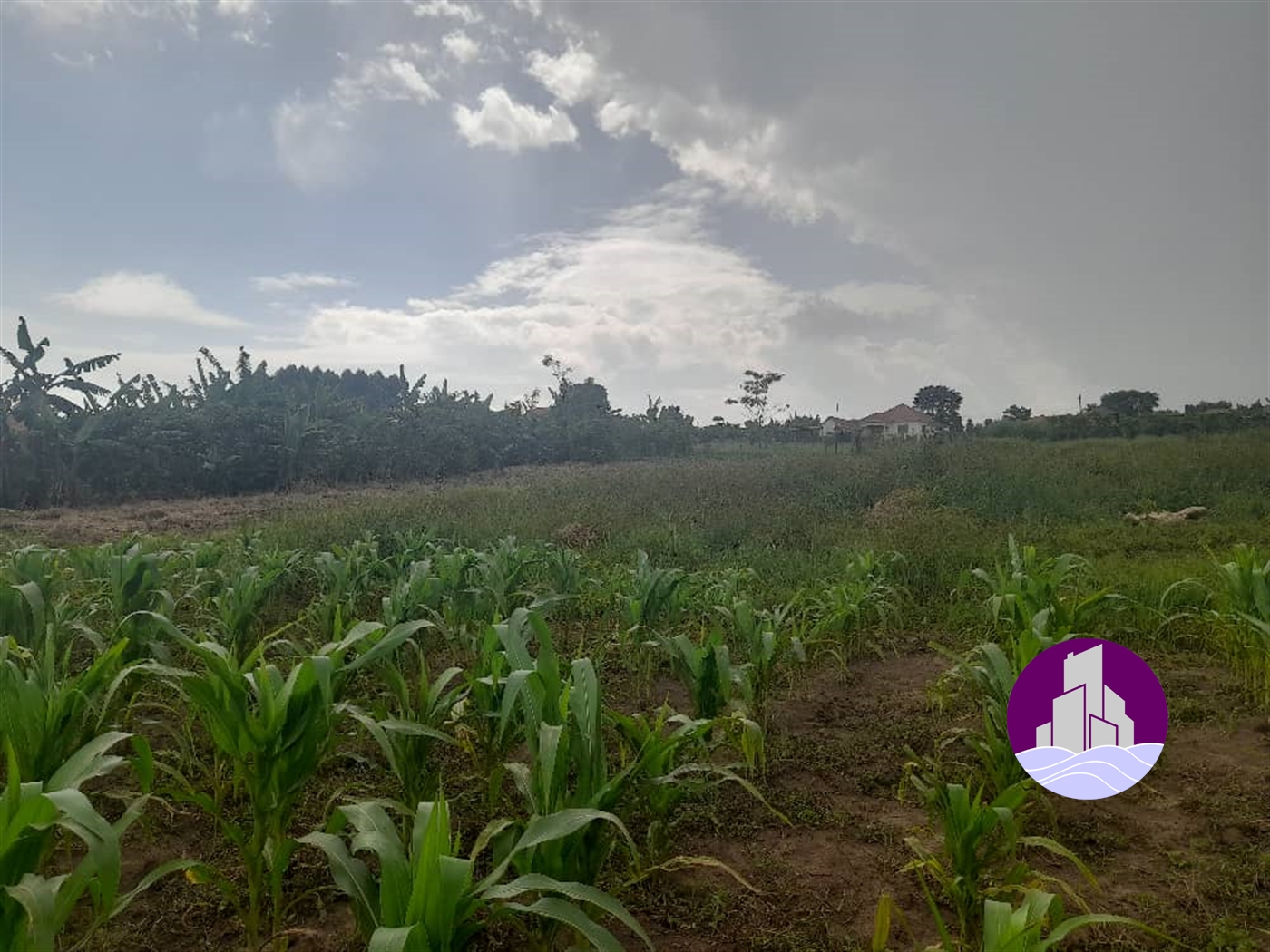 Residential Land for sale in Gayaza Wakiso