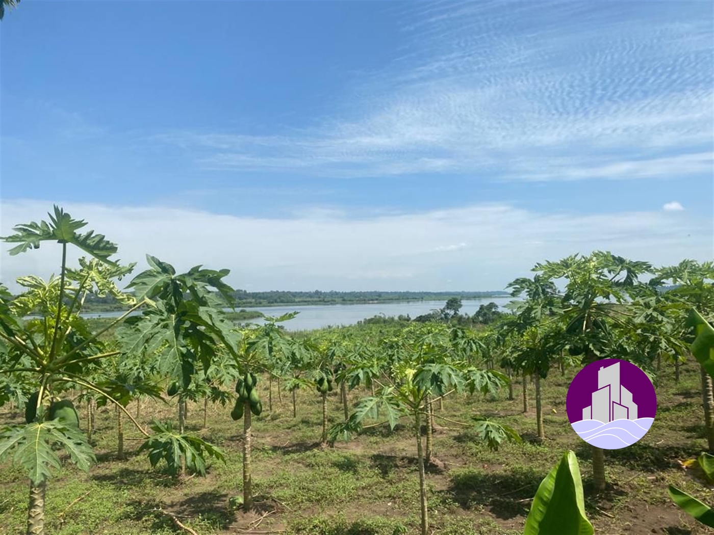 Residential Land for sale in Kangulumira Kayunga