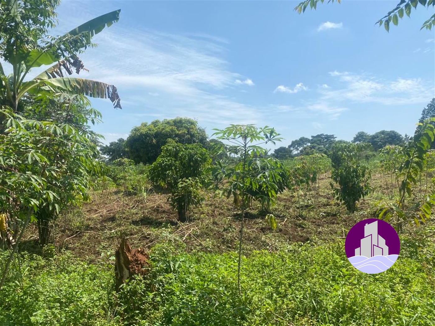 Residential Land for sale in Kangulumira Kayunga