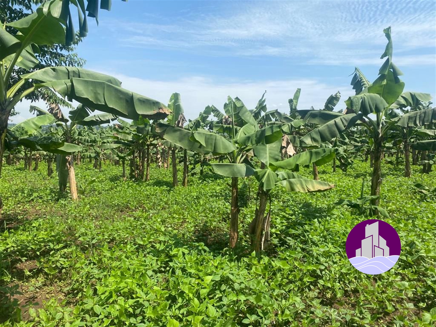 Residential Land for sale in Kangulumira Kayunga