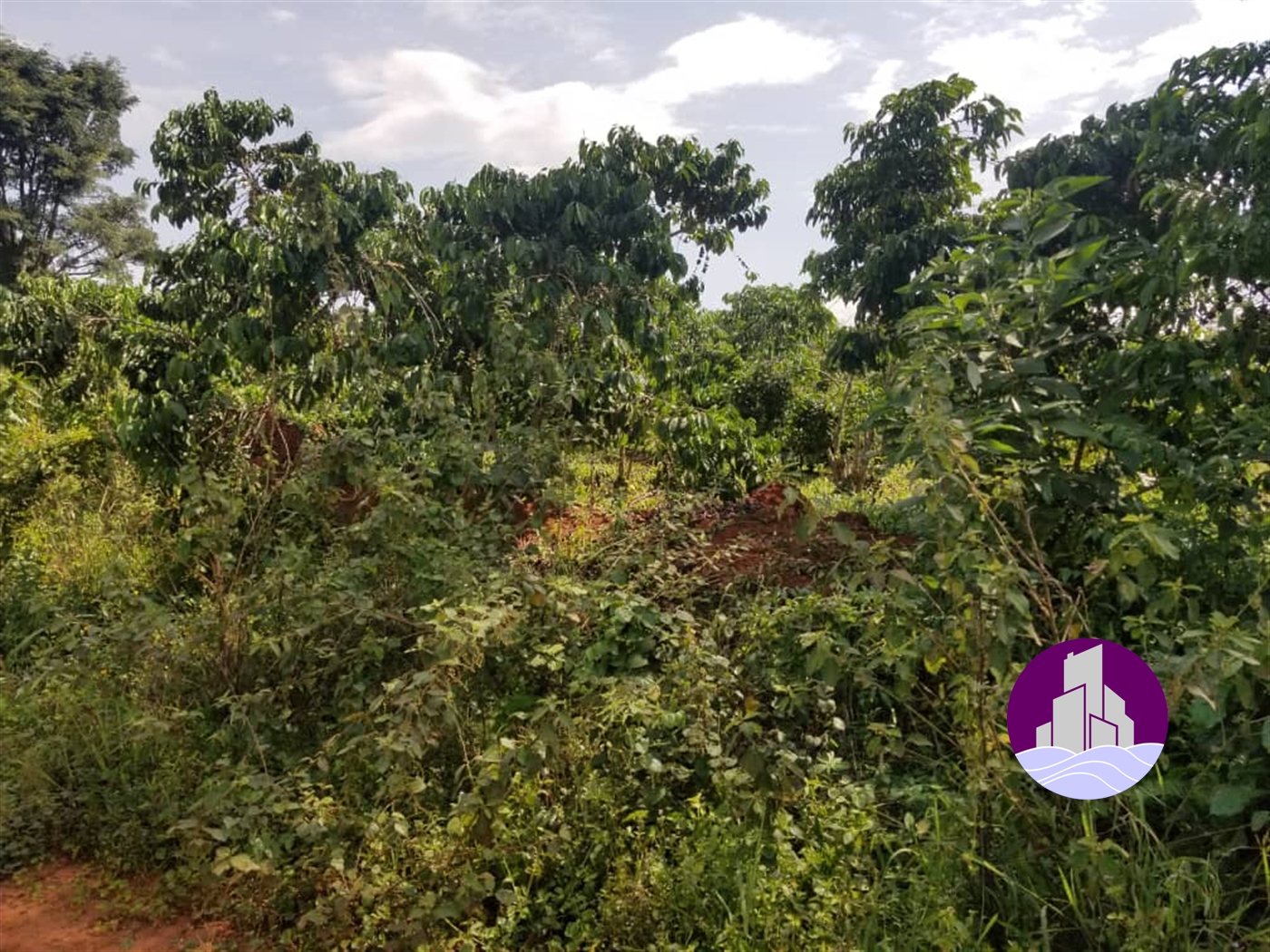 Agricultural Land for sale in Wobulenzi Luweero