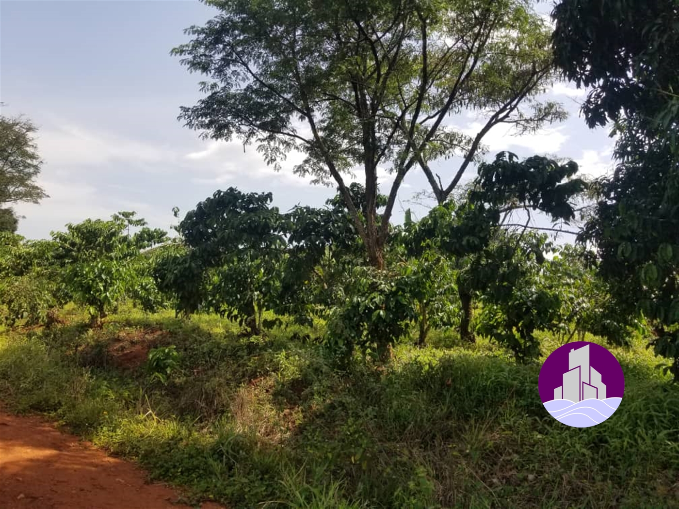 Agricultural Land for sale in Wobulenzi Luweero