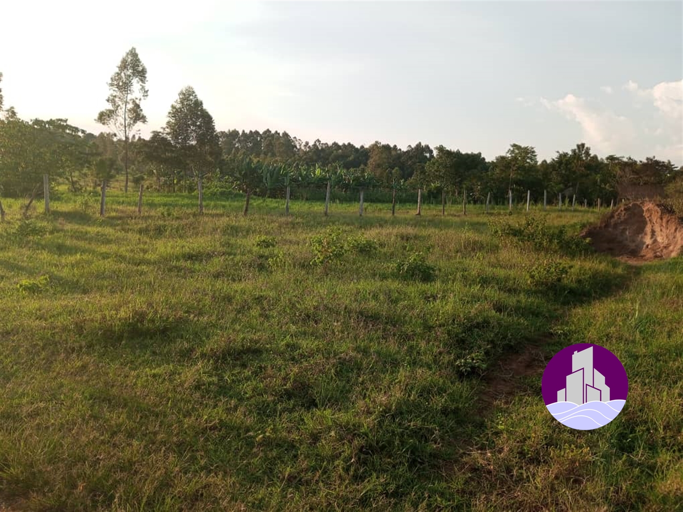Agricultural Land for sale in Ssanga Luweero