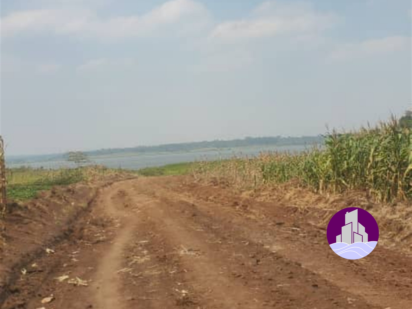 Agricultural Land for sale in Nazigo Kayunga