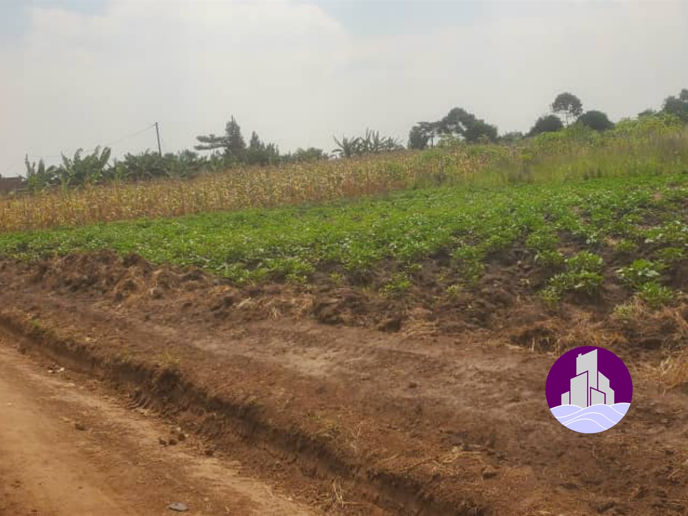 Agricultural Land for sale in Nazigo Kayunga