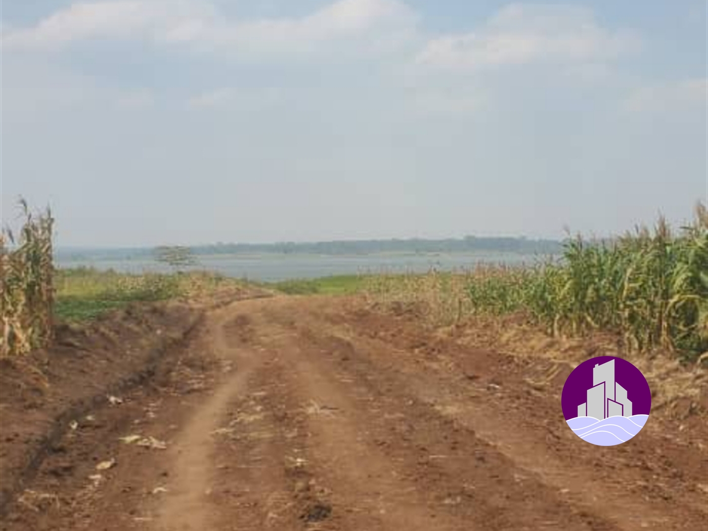 Agricultural Land for sale in Nazigo Kayunga