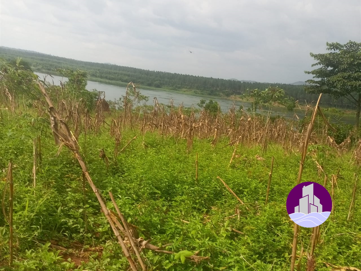 Residential Land for sale in Njeru Jinja