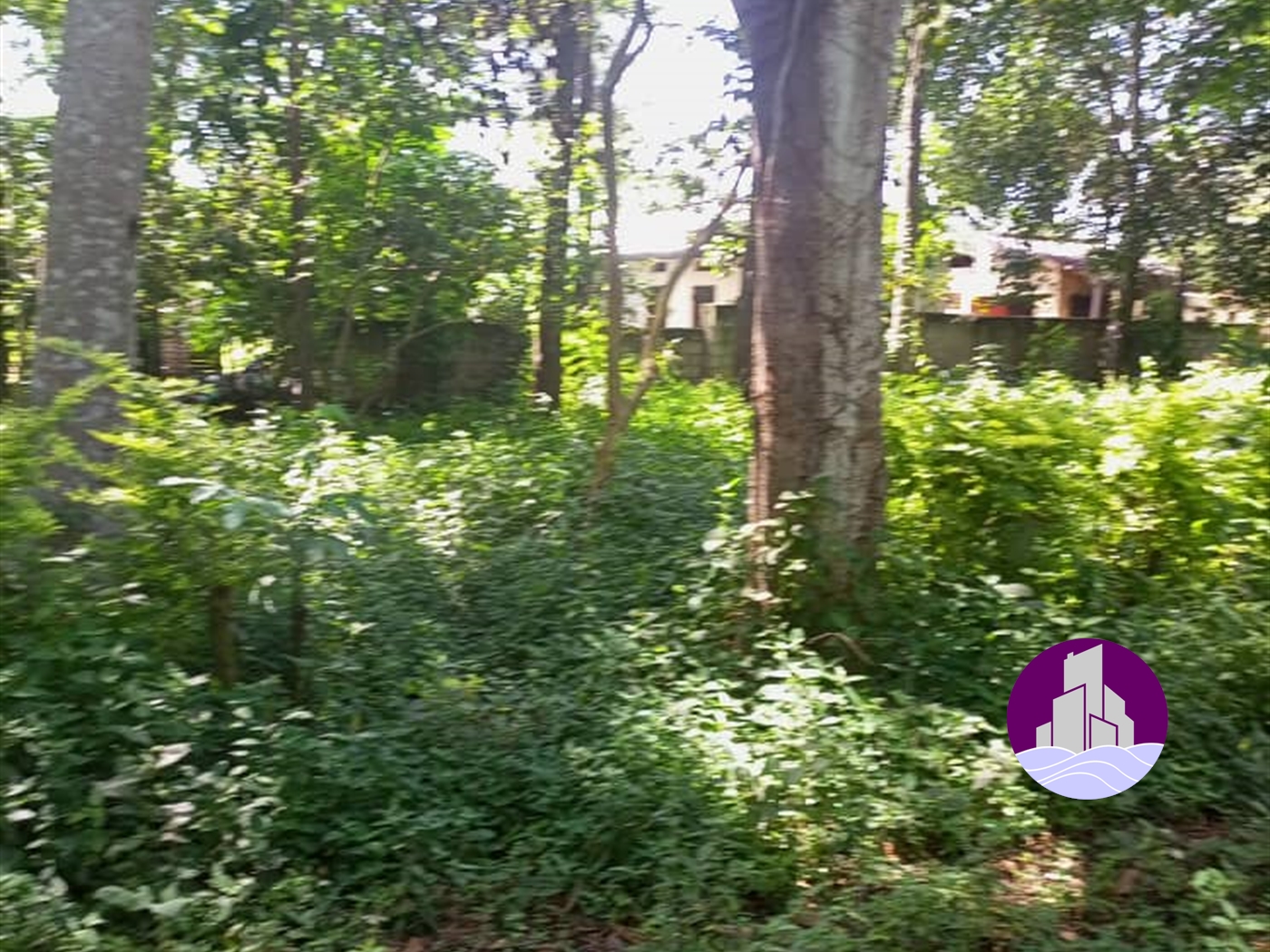 Residential Land for sale in Kirugu Jinja