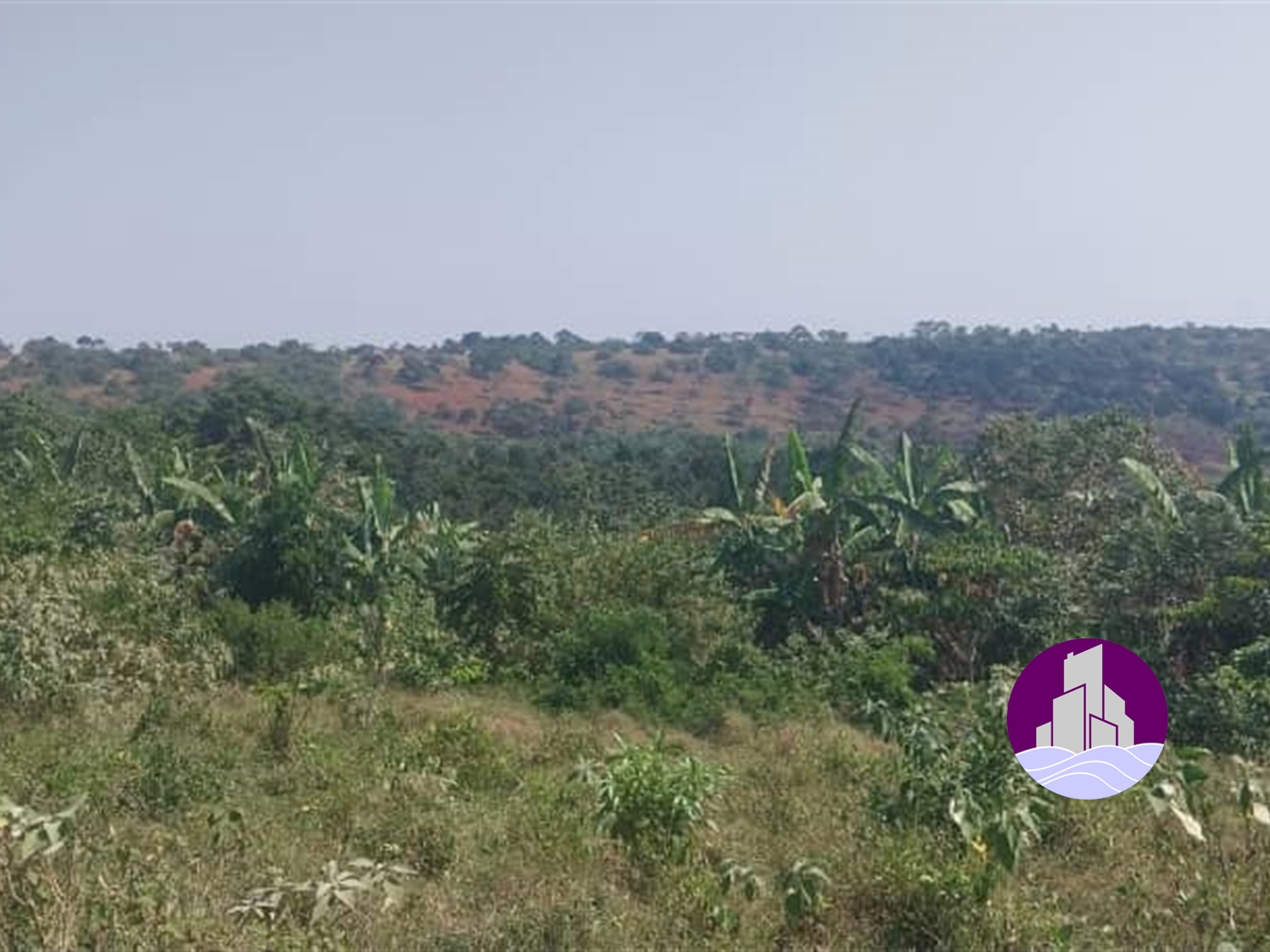 Agricultural Land for sale in Ssi Buyikwe