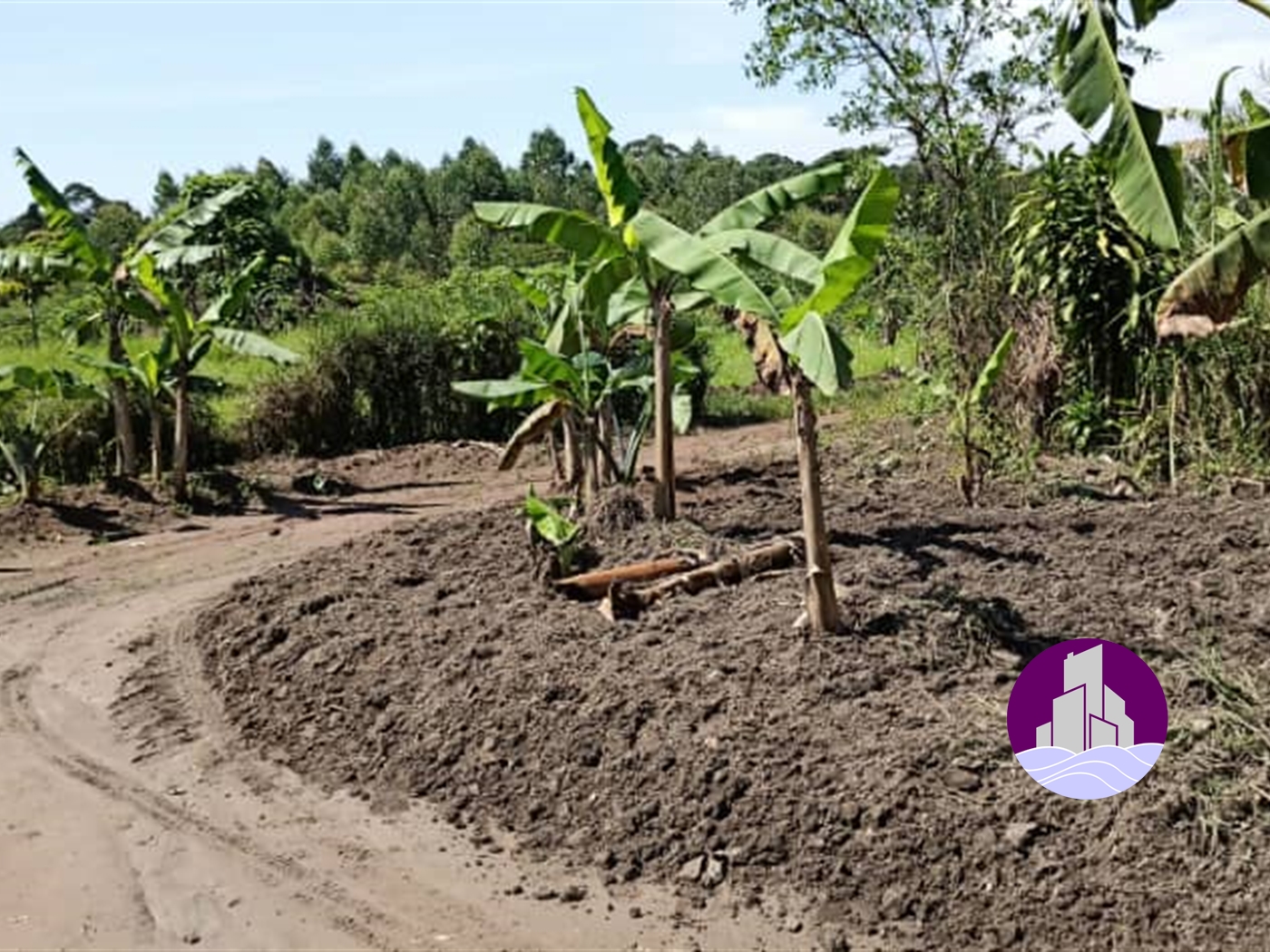 Agricultural Land for sale in Ziloobwe Luweero