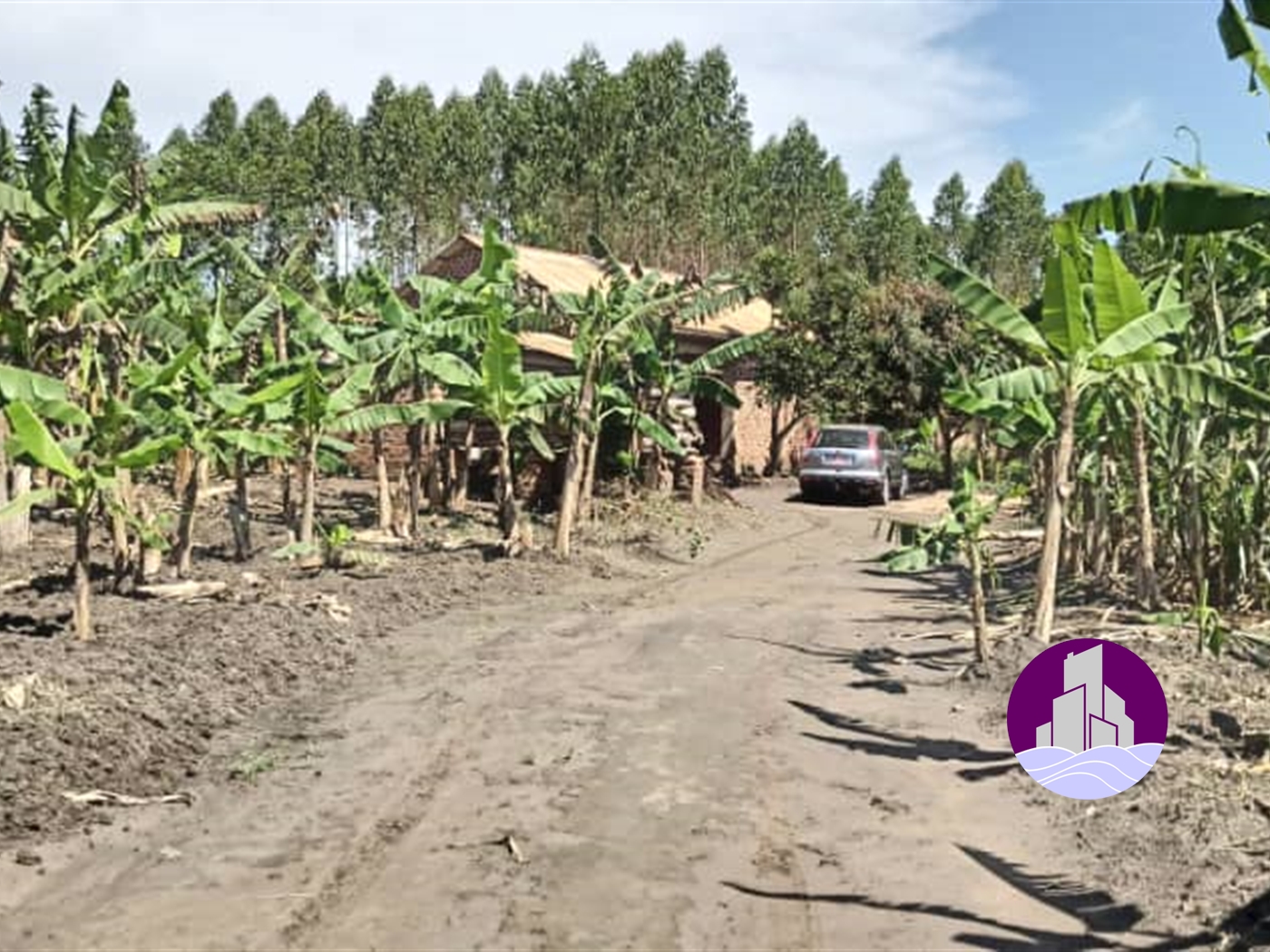 Agricultural Land for sale in Ziloobwe Luweero