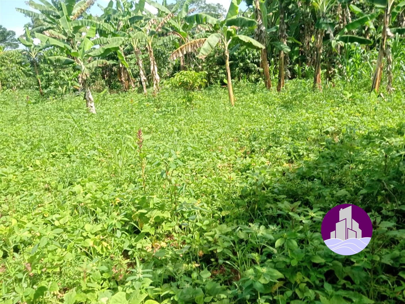 Agricultural Land for sale in Kikuusa Luweero