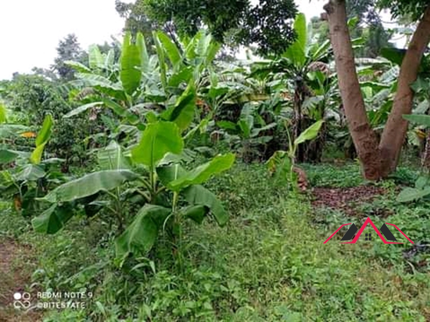 Residential Land for sale in Kira Wakiso