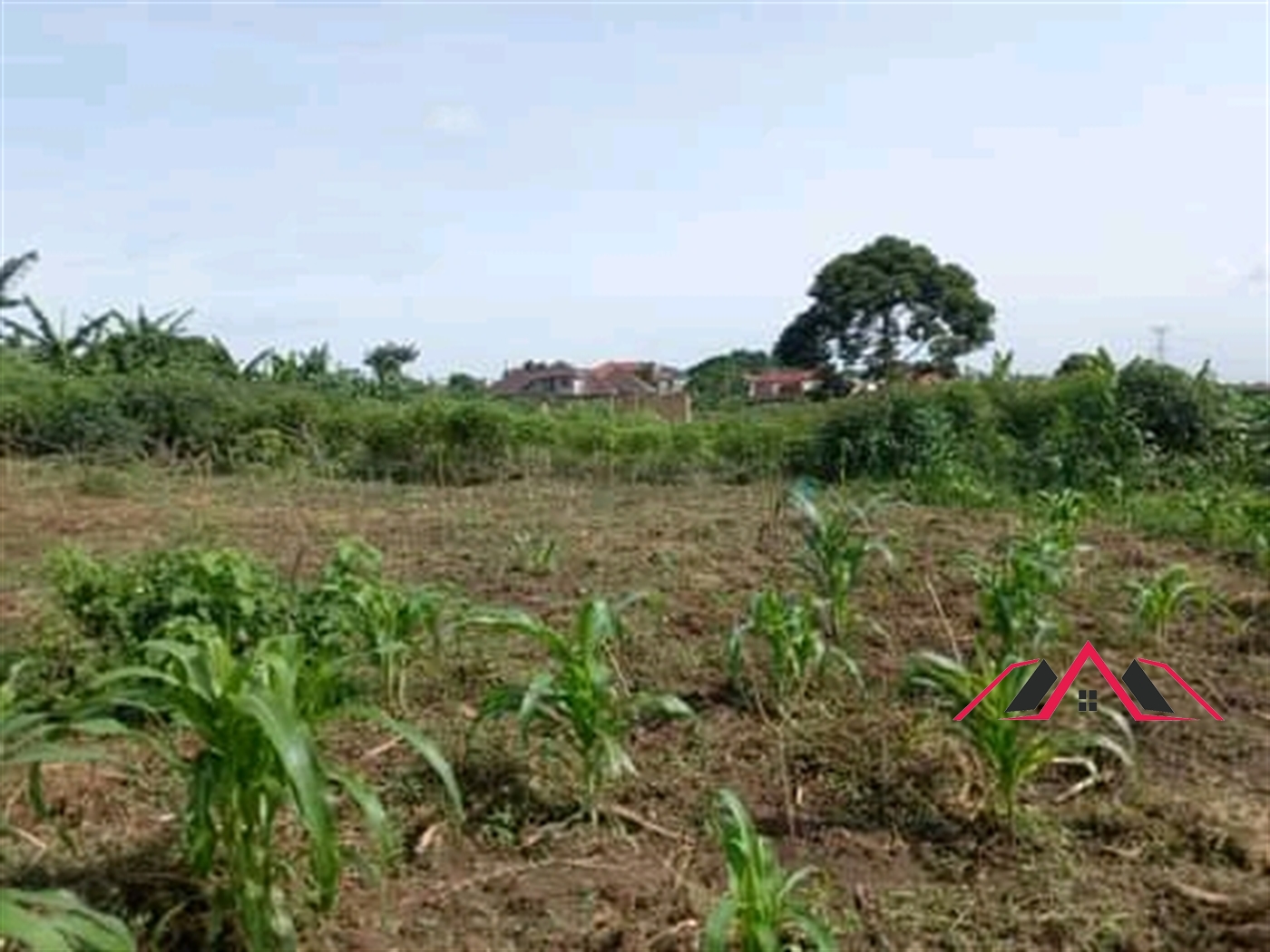 Residential Land for sale in Namugongo Wakiso