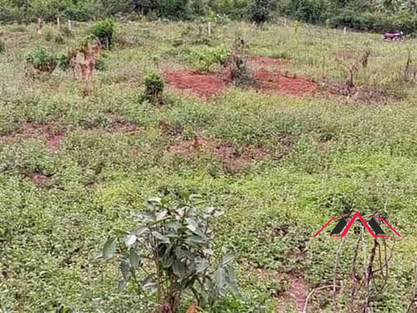 Residential Land for sale in Namugongo Wakiso