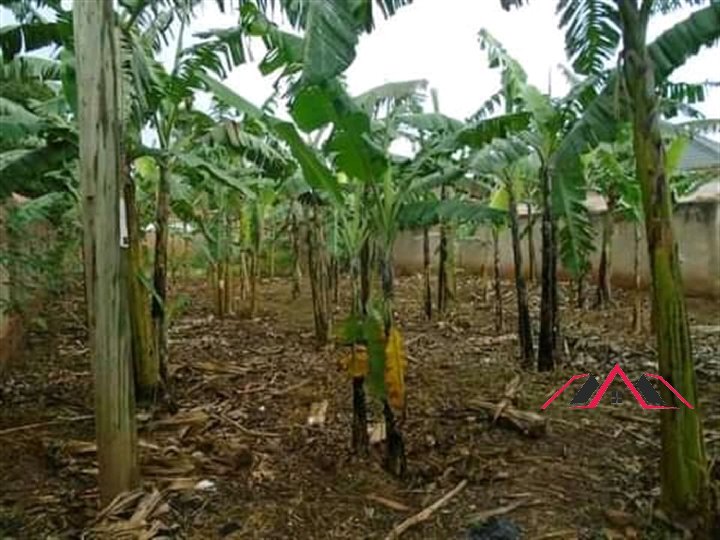 Residential Land for sale in Kira Wakiso