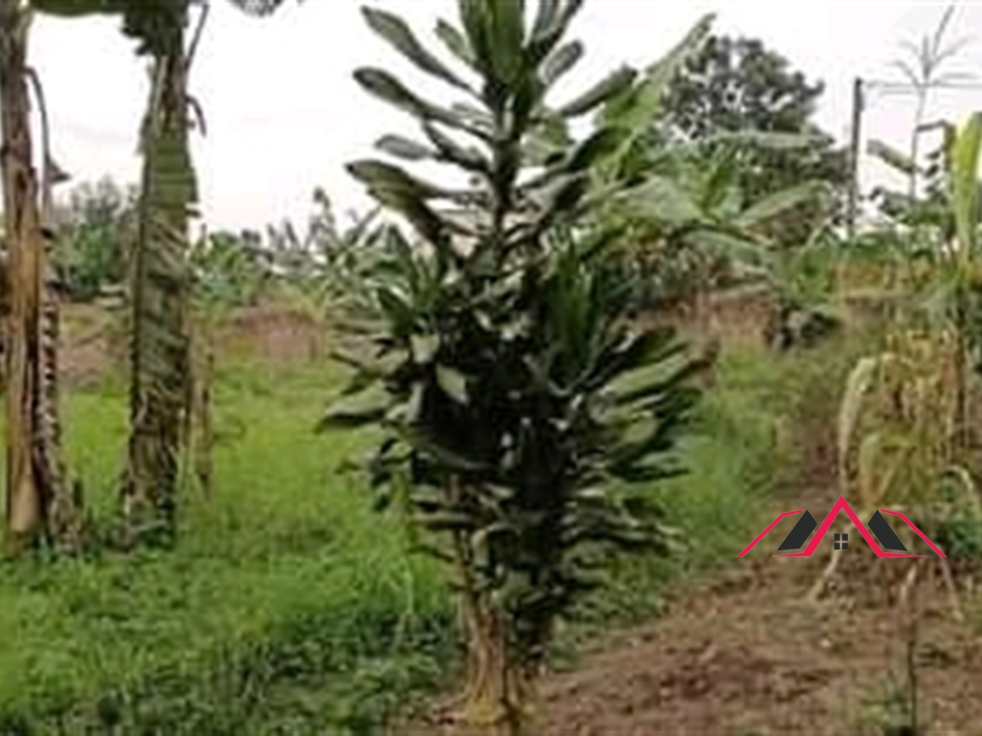 Residential Land for sale in Kira Wakiso