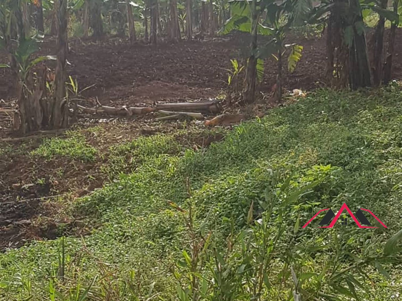 Residential Land for sale in Makerere Kampala