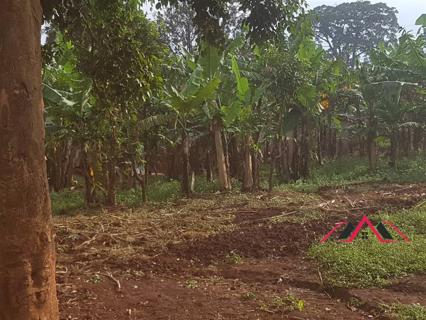 Residential Land for sale in Makerere Kampala