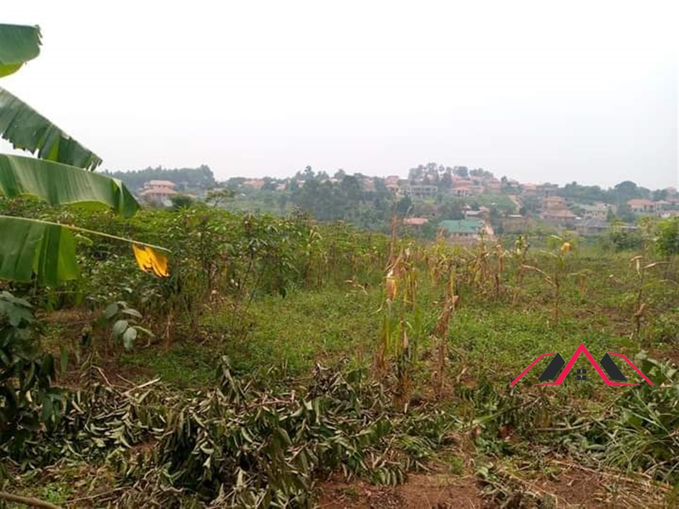 Residential Land for sale in Namugongo Wakiso