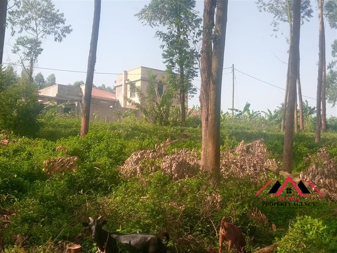 Commercial Land for sale in Namugongo Wakiso