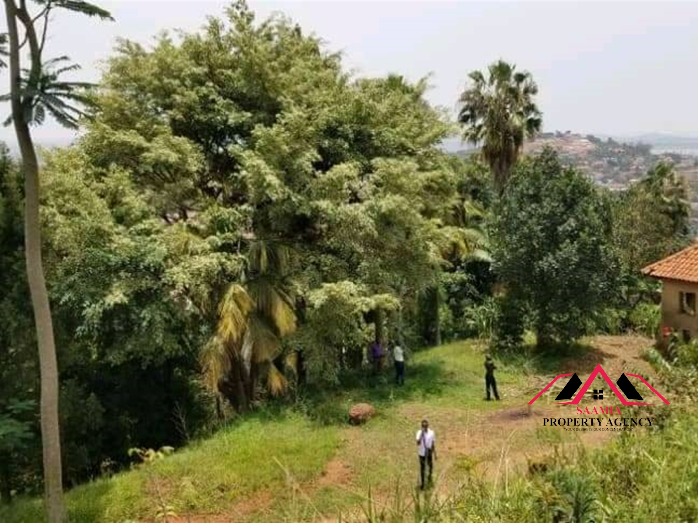 Residential Land for sale in Mbuya Kampala