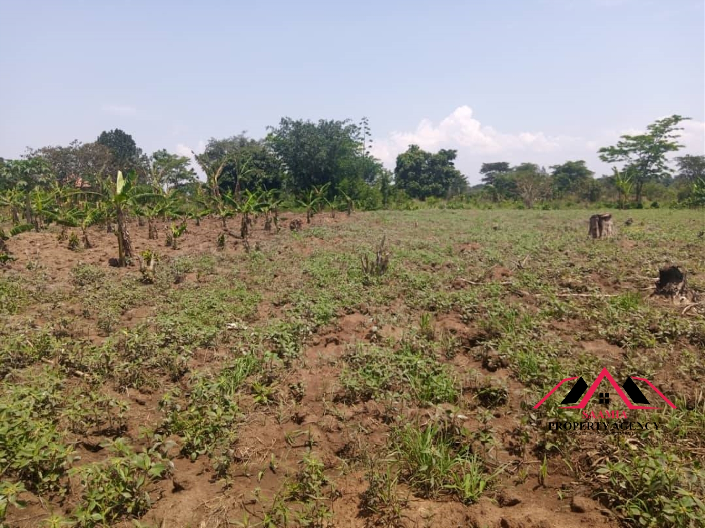 Commercial Land for sale in Ziloobwe Wakiso