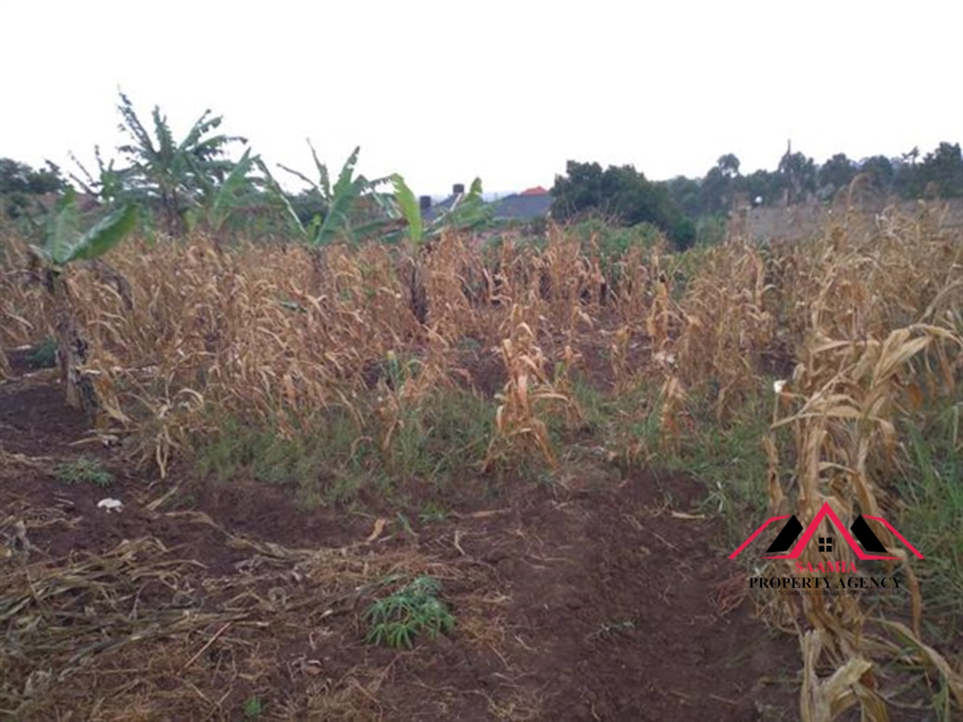 Residential Land for sale in Kira Kampala