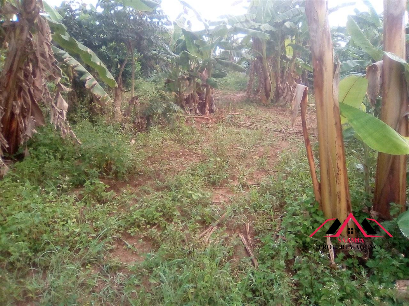 Commercial Land for sale in Gayaza Wakiso