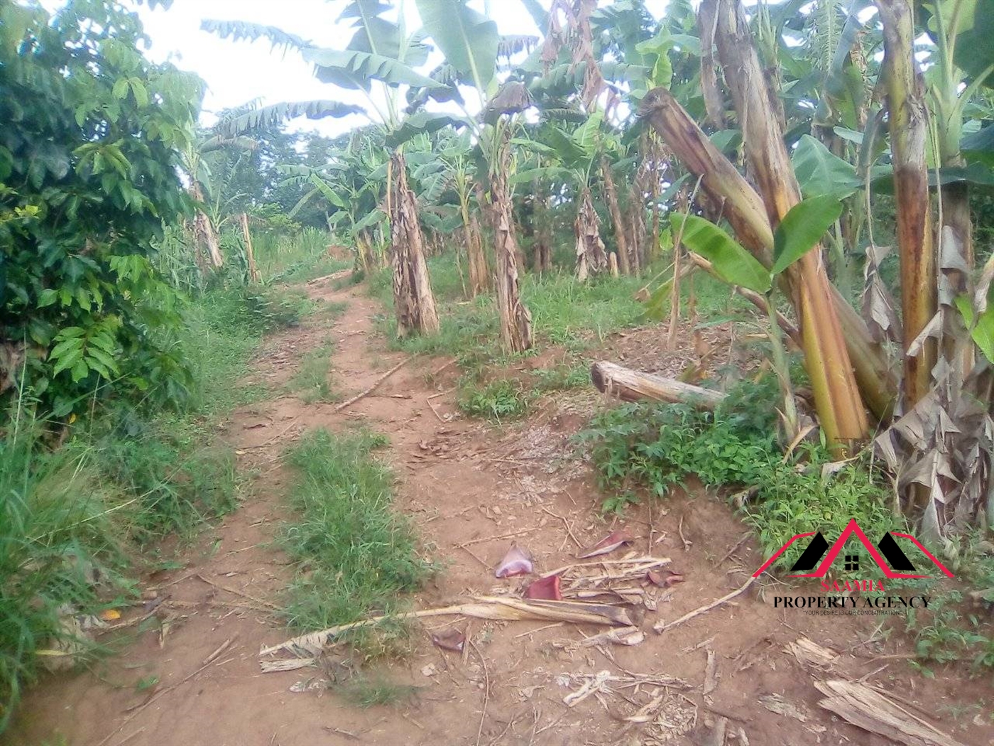 Commercial Land for sale in Gayaza Wakiso