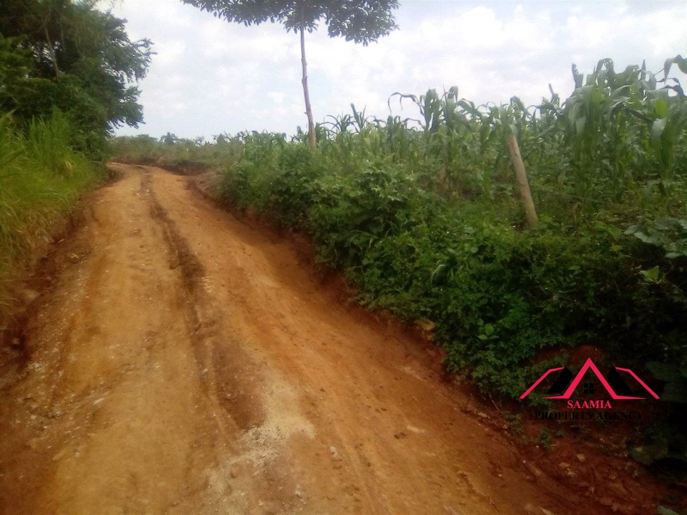 Commercial Land for sale in Gayaza Wakiso