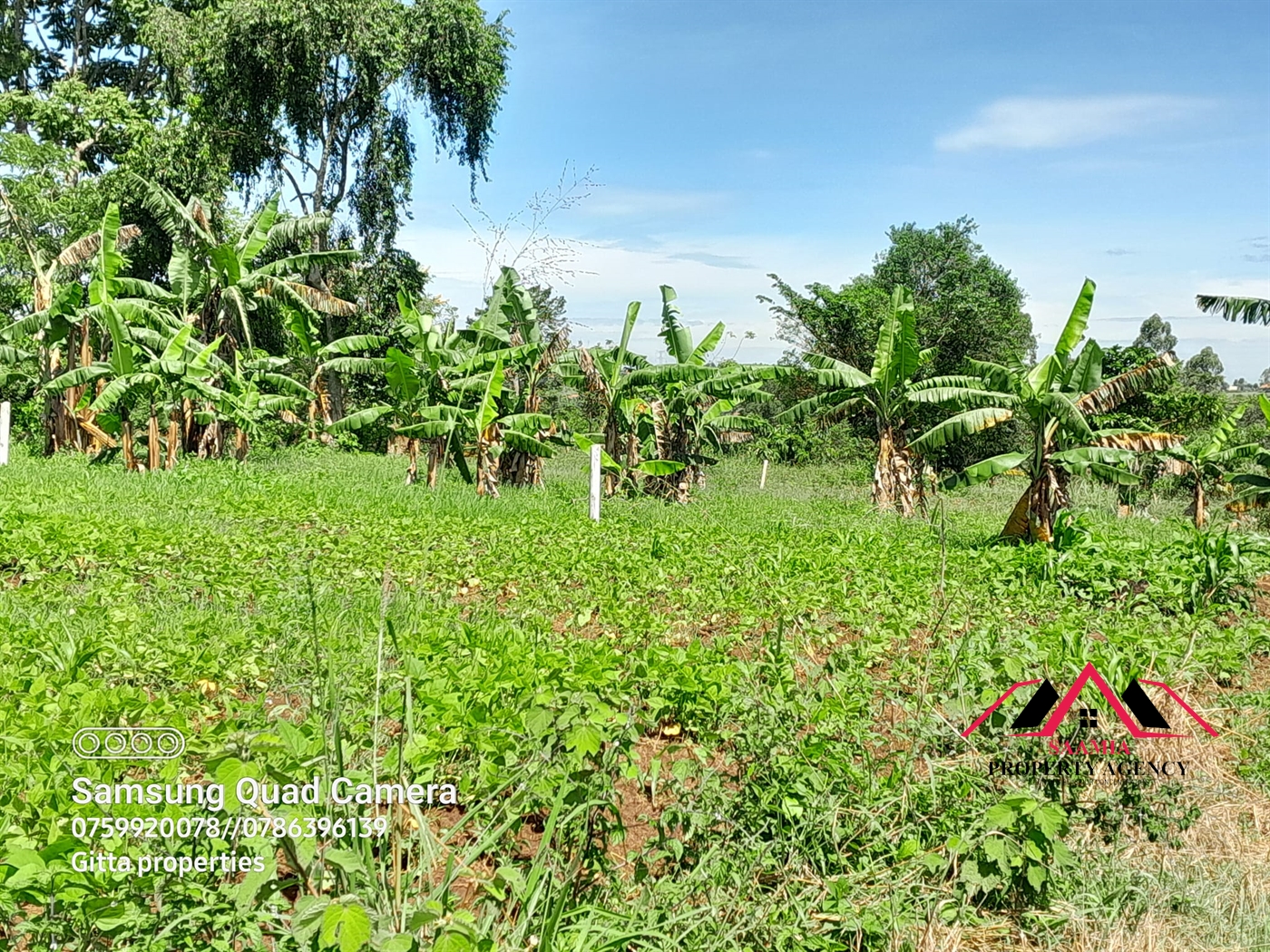 Residential Land for sale in Namugongo Wakiso