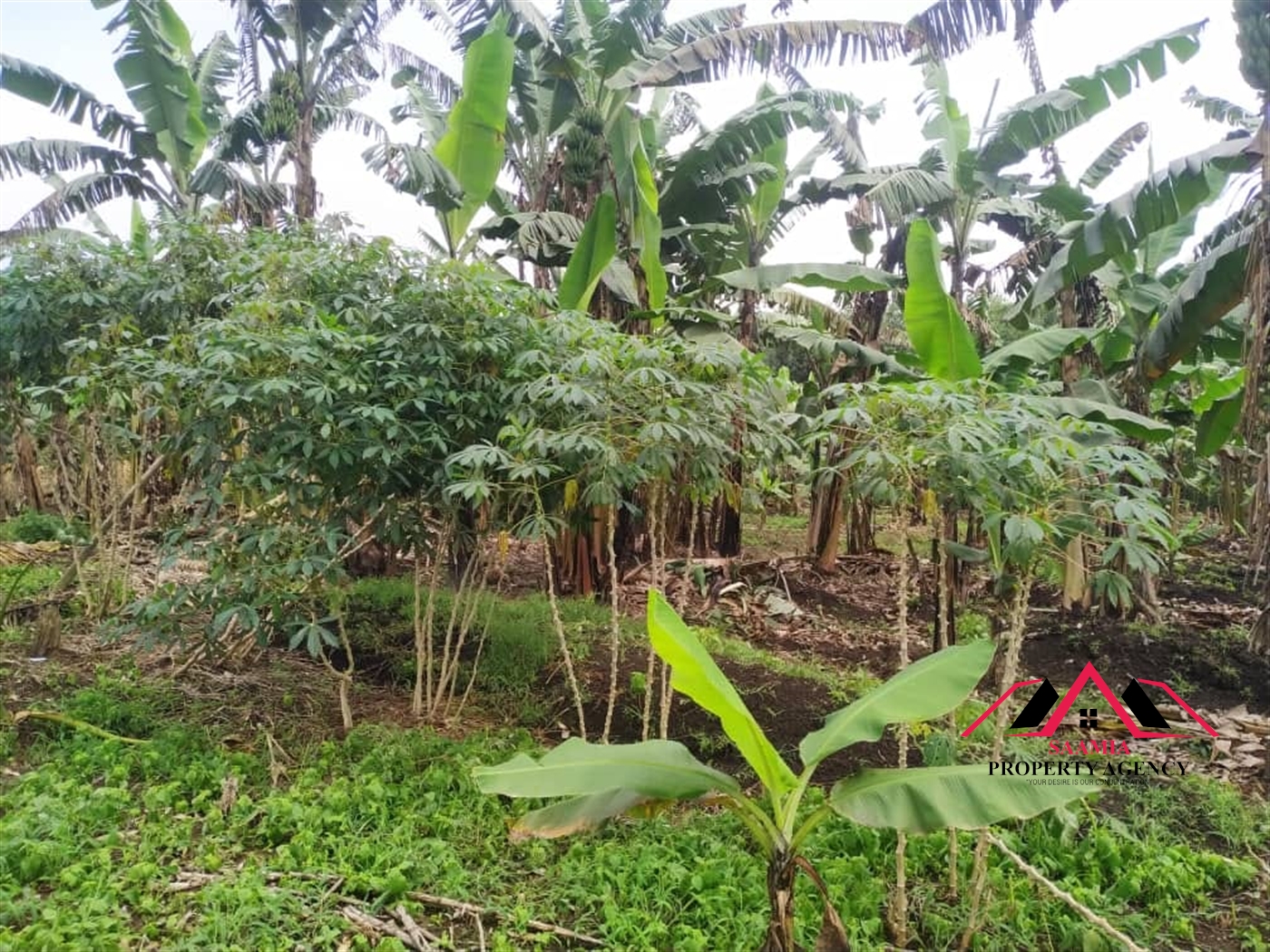 Commercial Land for sale in Namugongo Wakiso