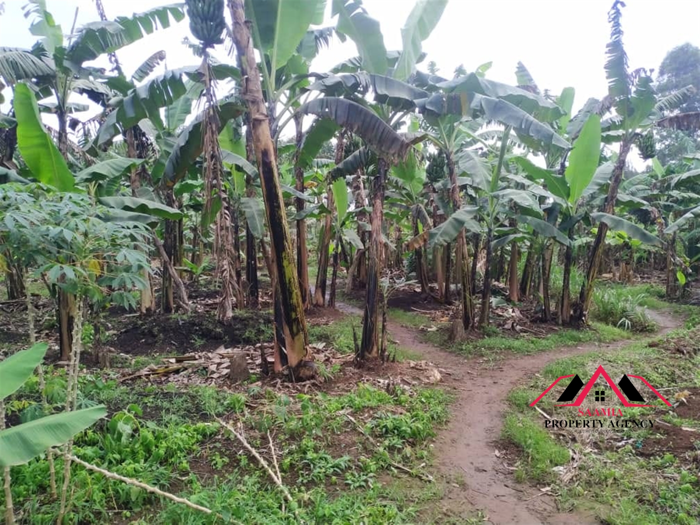 Commercial Land for sale in Namugongo Wakiso