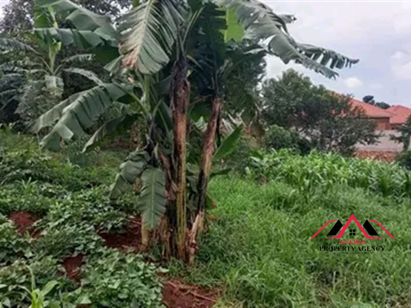 Residential Land for sale in Kira Wakiso