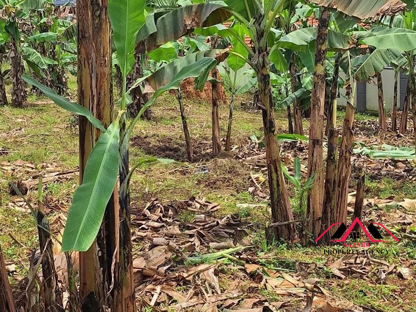 Residential Land for sale in Kira Wakiso