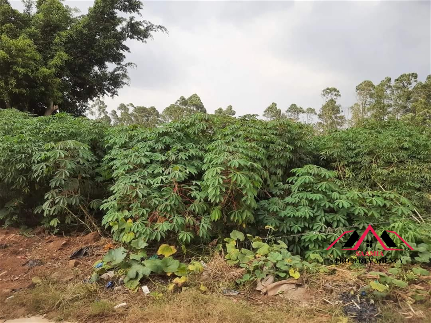 Residential Land for sale in Najjera Kampala